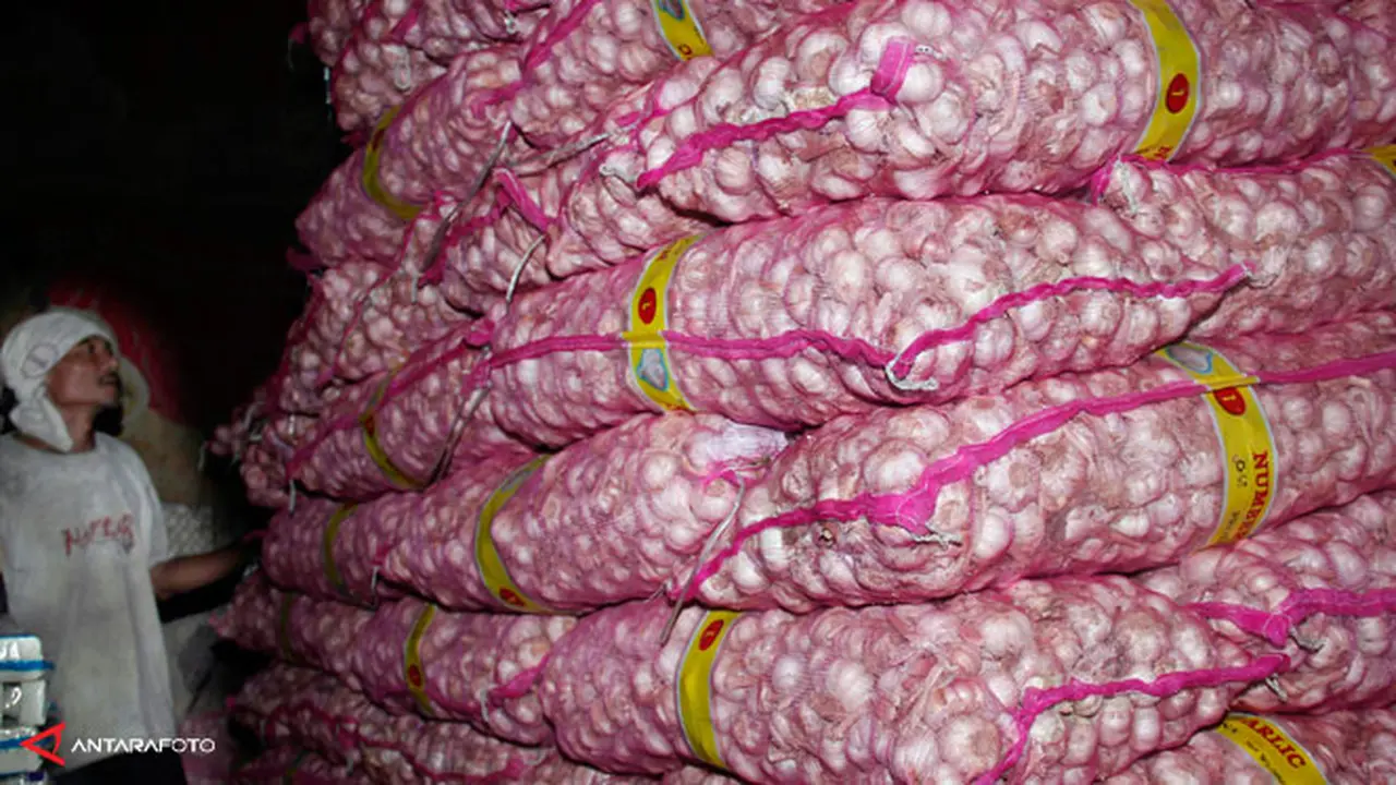bawang130408b.jpg