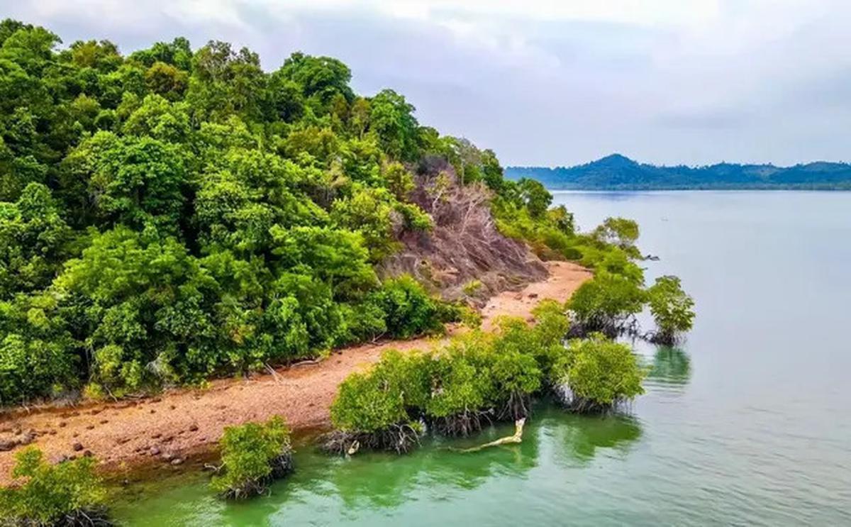 10 Potret Penampakan Viral Pulau Dijual Rp 12 Miliar, Ini Lokasinya