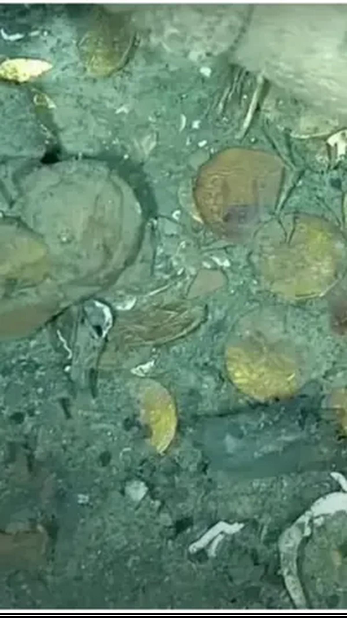 Tidur di Lautan Bersama 200 Ton Kekayaan<br>