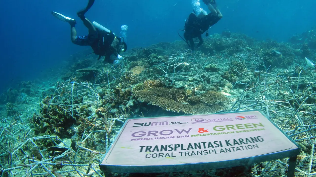 BRI Menanam - Grow & Green, Langkah Nyata BRI Pulihkan Ekosistem dan Lawan Perubahan Iklim