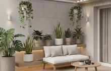 Taman Rumah Kurang Menarik? Coba Tambahkan 8 Tanaman Hias Daun Ini untuk Hunian Lebih Fresh