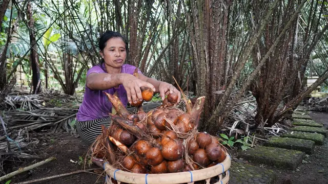 Sistem Agroforestri Kakao di Sao Tome dan Principe dikenal karena kualitas kakao Amelonado yang tinggi (Salak Agroforestry System in Karangasem, Bali).
