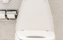 5 Toilet Termahal di Dunia, Ada yang Dibanderol Rp469 Miliar