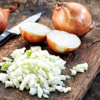 ilustrasi bawang bombay/Photo by MaraZe Shutterstock