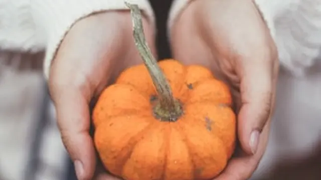 Ilustrasi Pumpkin Spice Latte