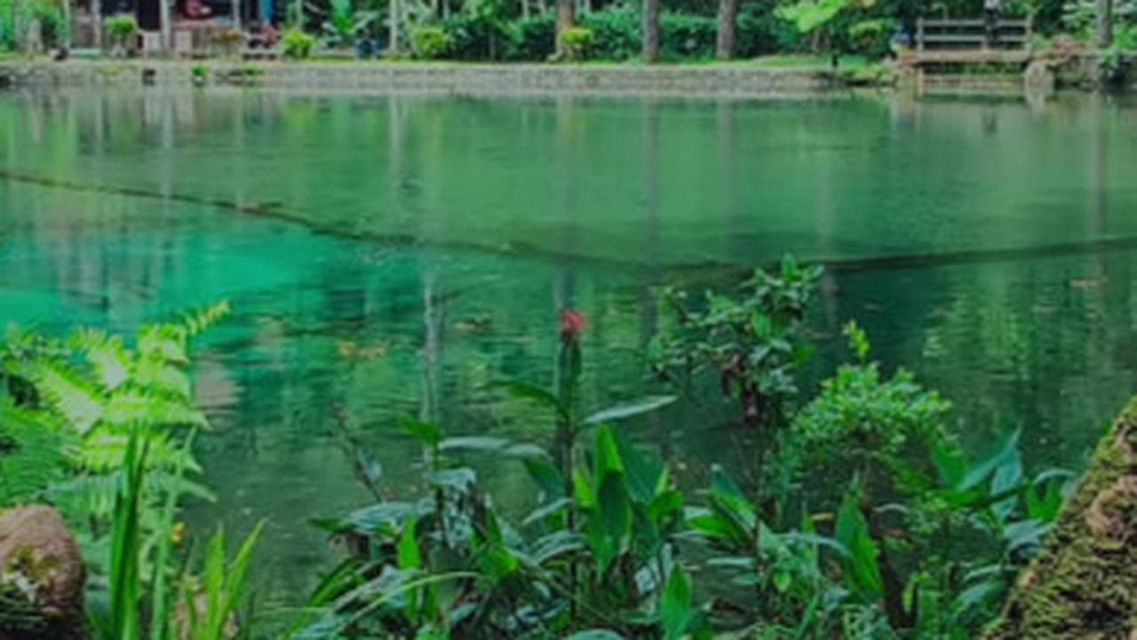 Miris Sumber Mata Air Gersang, Pria Asal Blitar Bikin Bank Pohon untuk Warisan Anak Cucu