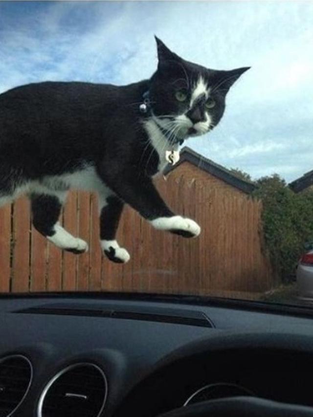 foto ini bisa menipu mata kita (foto: instagram/@ingin.tau_)