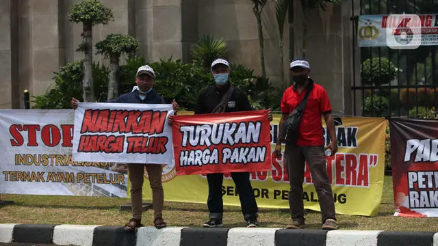 Tuntut Kenaikan Harga Telur, Peternak Ayam Demo di Gedung DPR