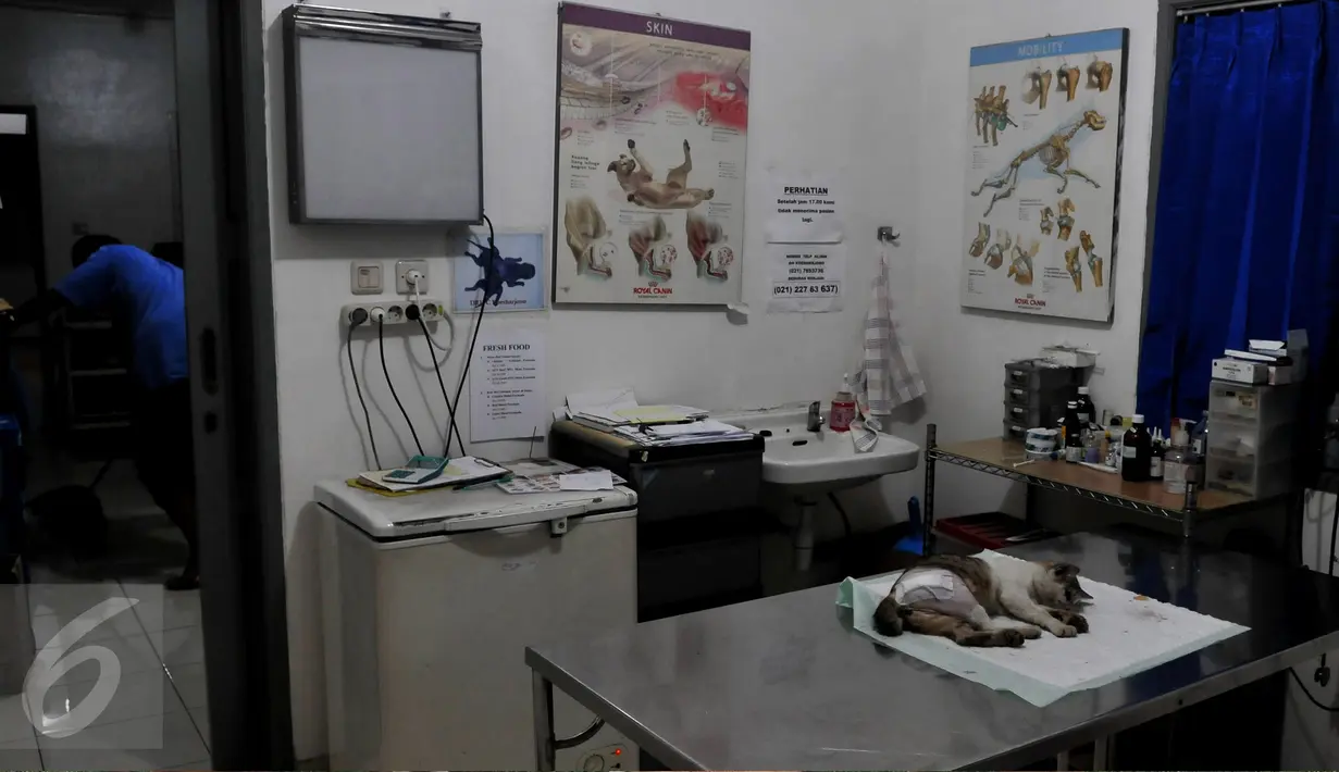 Animal Defender hanyalah salah satu bentuk dukungan dalam menjaga keserasian semesta. Sudah seharusnya manusia tidak hanya memikirkan kelestarian sesamanya, tetapi juga kelestarian makhluk hidup lainnya. (Liputan6.com/Johan Tallo)