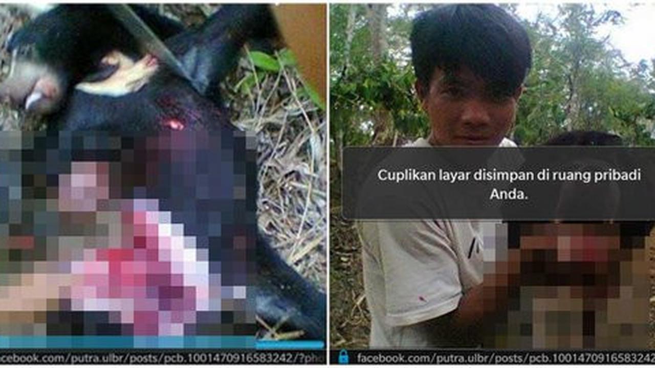 Polisi selidiki pengunggah foto selfie usai sembelih beruang madu