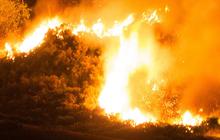 Ingin Lepaskan Kail Pancing yang Tersangkut Ranting, Pria Klaten Ini Nyalakan Api hingga Sebabkan 5 Hektare Hutan Terbakar