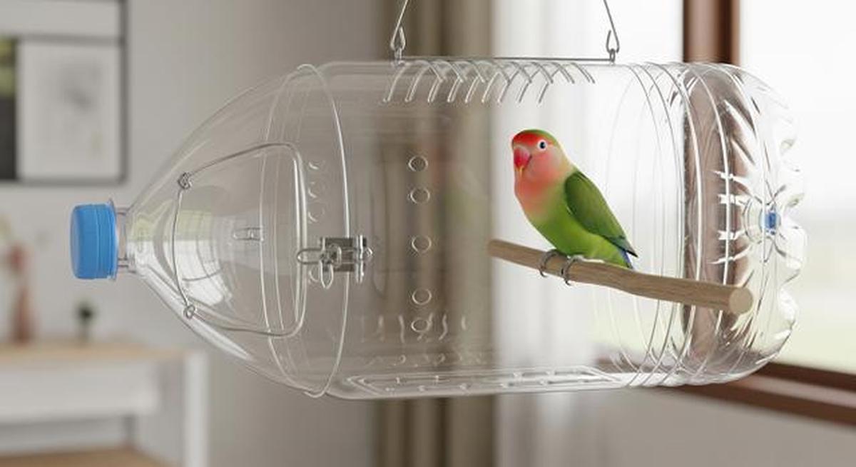8 Desain Kandang Lovebird dari Botol Bekas, Kreatif dan Hemat Biaya