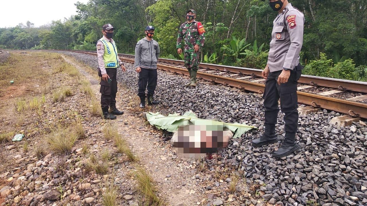 Diduga Alami Gangguan Jiwa, Pria Tanpa Identitas Tertabrak KA Babaranjang Sumsel