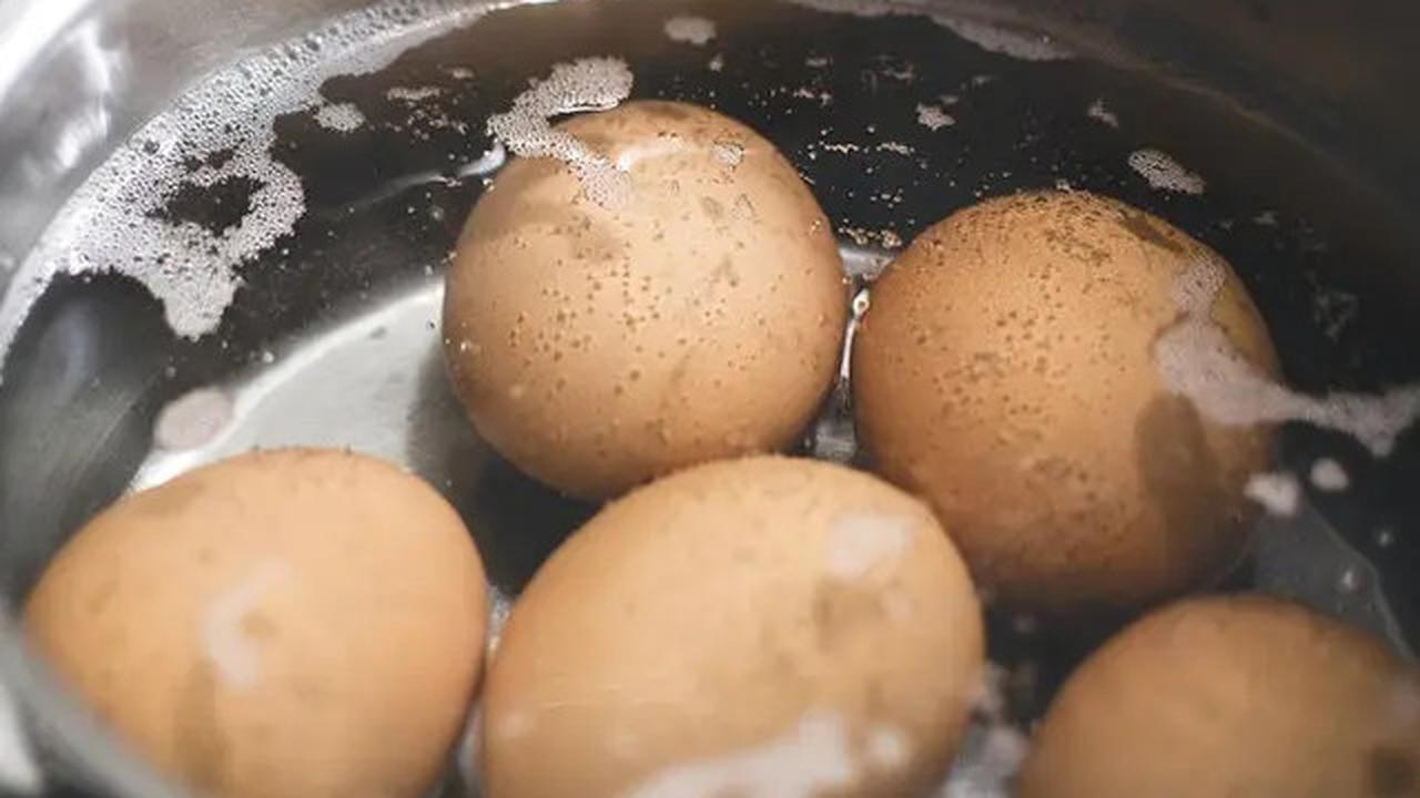 11 Sumber Protein Terbaik yang Dapat Anda Makan Menurut Ahli
