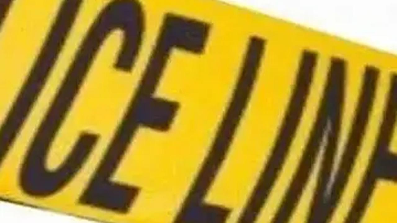Endriadi menambahkan melihat korban meninggal dunia, para pelaku ini panik. Kemudian kedua pelaku berniat menghilangkan jejak dengan melakukan upaya mutilasi.