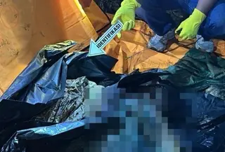 Polisi mengungkap motif di balik kasus mutilasi terhadap seorang ibu yang dilakukan oleh anak kandungnya di wilayah Lahat. (Foto: Antara)