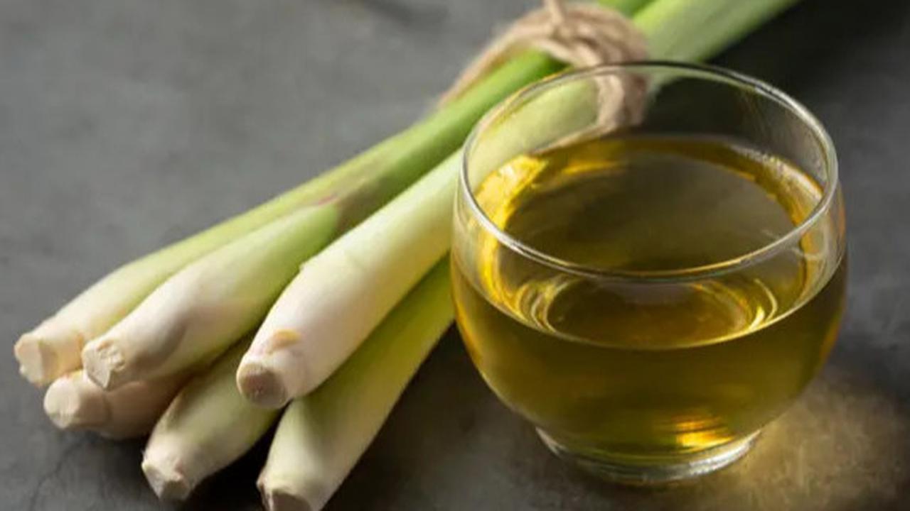 Tips Merebus Serai untuk Asam Lambung, Perhatikan Dosis yang Sesuai
