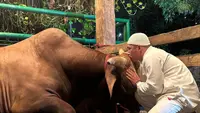Irfan Hakim dan sapi kurbannya, Wariso. (Instagram/ irfanhakim75)