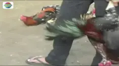 Diduga sudah meresahkan warga, Polsekta Panakkukang, menggerebek sebuah tempat perjudian sabung ayam di Makassar, Sulawesi Selatan.