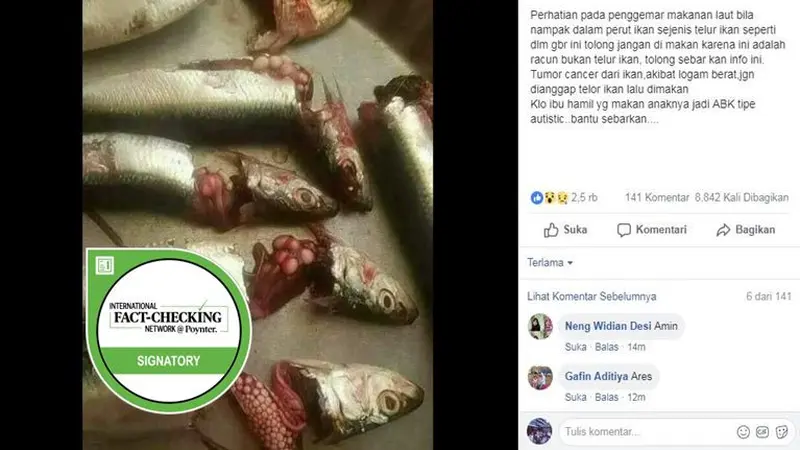 [Cek Fakta] Hoaks Telur Ikan Sarden Berancun 