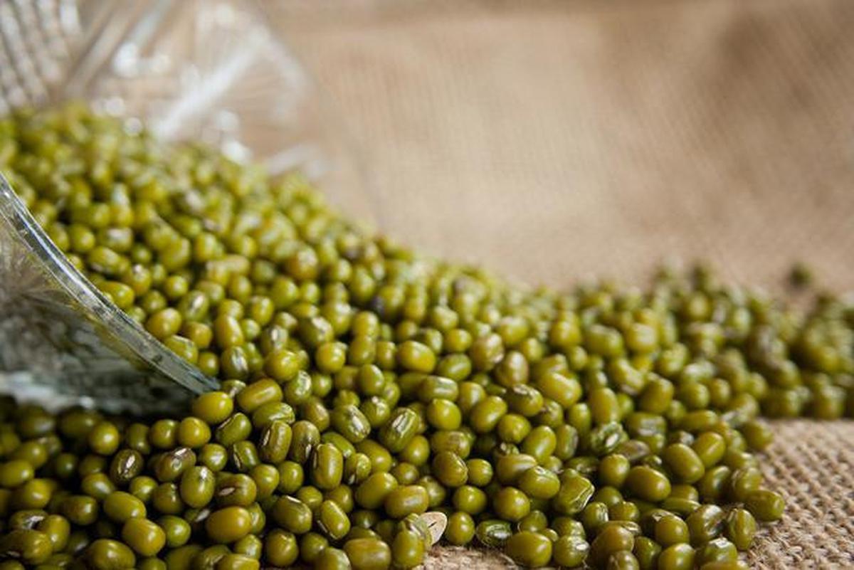 Kacang Hijau