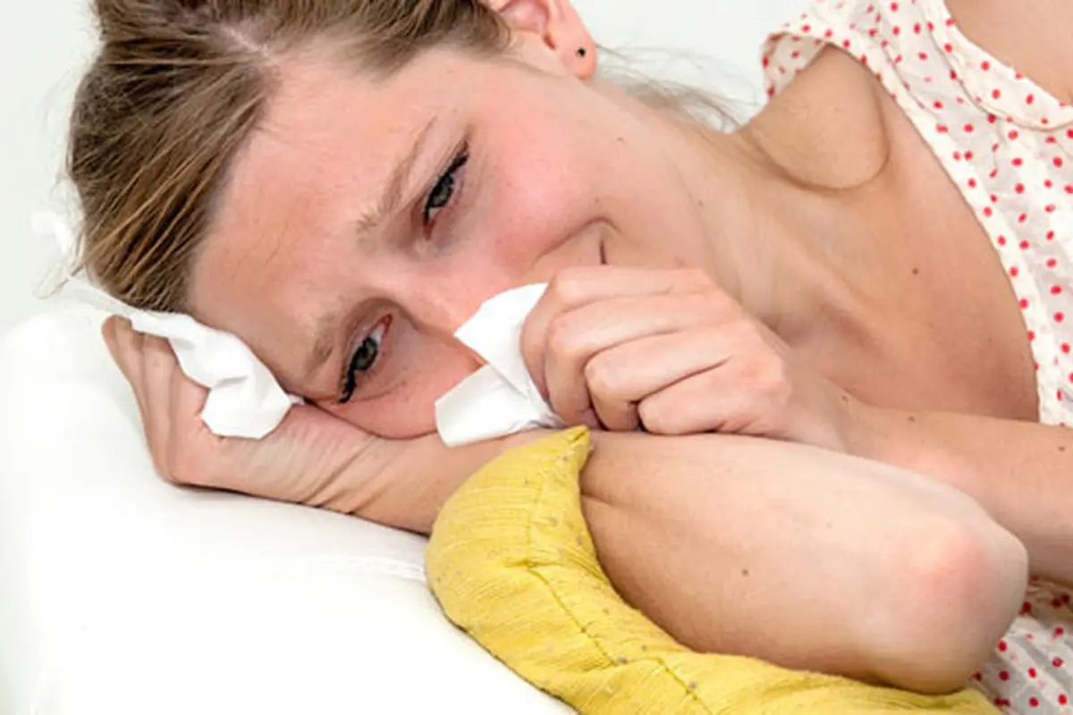 Foto: shutterstock
