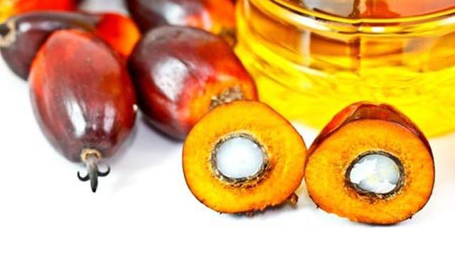 Waspada Bahaya Minyak Sawit Terhadap Kesehatan