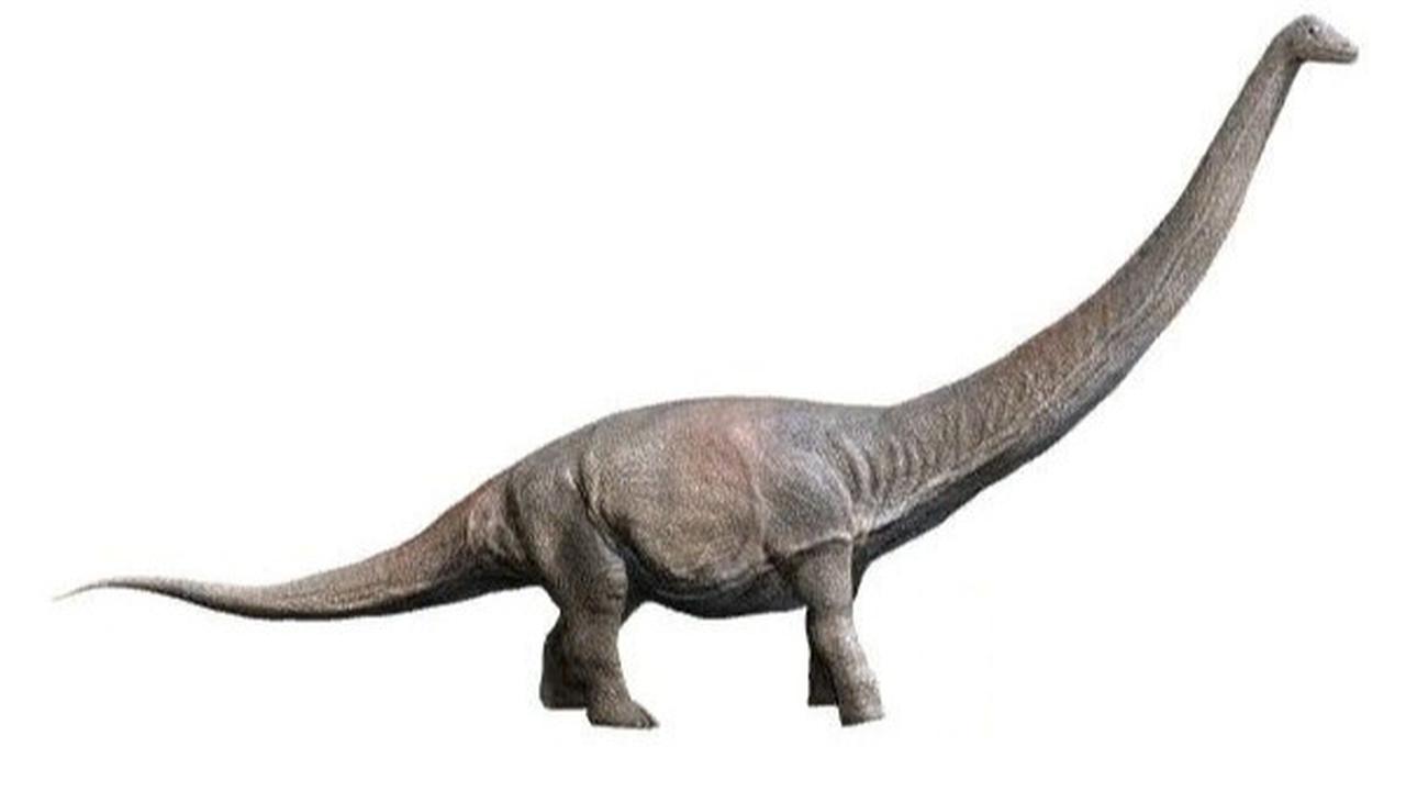 8 Titanosaurus Terbesar: Mengungkap Rahasia Raksasa Zaman Kapur