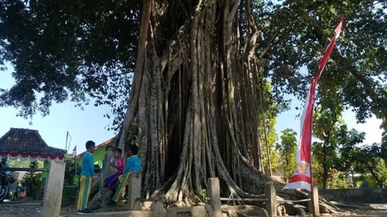 Misteri Pohon Tua di Wonogiri