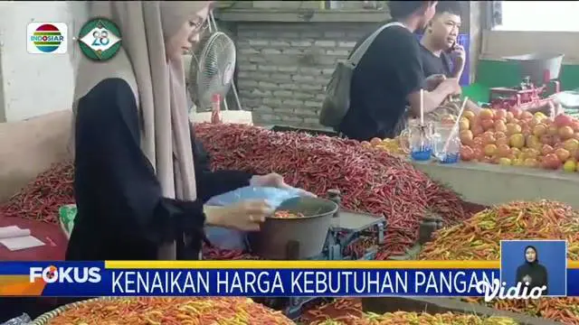 Fokus edisi (31/01) mengangkat beberapa topik pilihan sebagai berikut, Ricuh Eksekusi Lahan Tol Japek II, Stasiun Manggarai Penuh Sesak Penumpang, Kasus Campak Anak Meningkat.