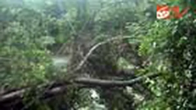 Jembatan Putus, Aktivitas Warga Garut Terganggu
