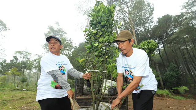 BRI Menanam