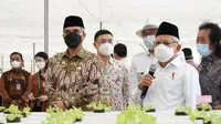 Wakil Presiden RI Ma'ruf Amin meninjau area green farm di Kawasan Batamindo Green Farm atau Singapura Fresh Green Makmur di Kabupaten Karawang, Jawa Barat, Kamis (15/9/2022).