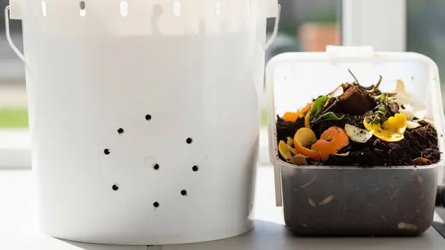 Cara Berkebun Sayur Organik Memakai Ember Bekas dan Kompos Dapur