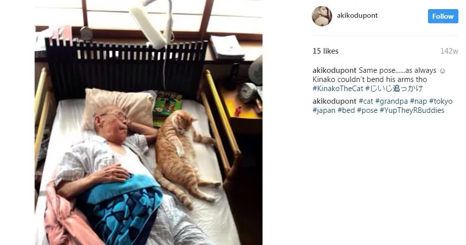 Kucing Kinako bersama kakek Jiji. (Foto: Instagram @akikodupont)