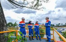 Cara Mendaftar Lowongan Magang Pertamina 2026, Lengkap dengan Jadwal dan Syarat Diperlukan