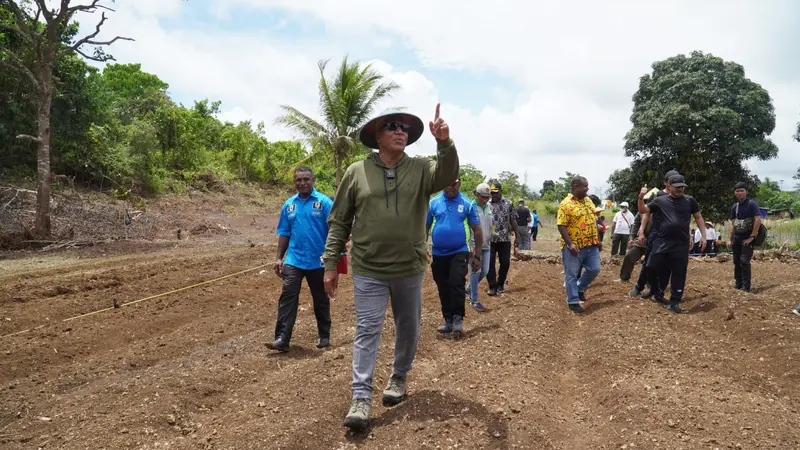 Pembukaan lahan produktif di Papua Barat