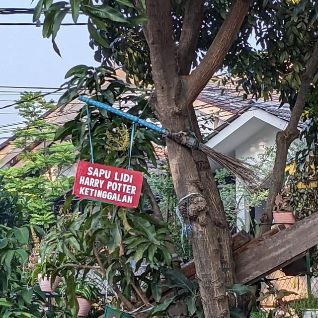 6 Pengumuman Nyeleneh Ini Ditempel di Pohon, Bikin Geleng Kepala