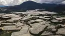 Pemandangan udara dari rumah kaca yang digunakan untuk menanam sayuran di Dataran Tinggi Cameron di Pahang, Malaysia, pada 7 Juli 2021. Akibat lockdown corona, perkebunan teh tersebut kekurangan tenaga kerja, menghancurkan industri pariwisata yang vital dan permintaan getah. (Mohd RASFAN/AFP)
