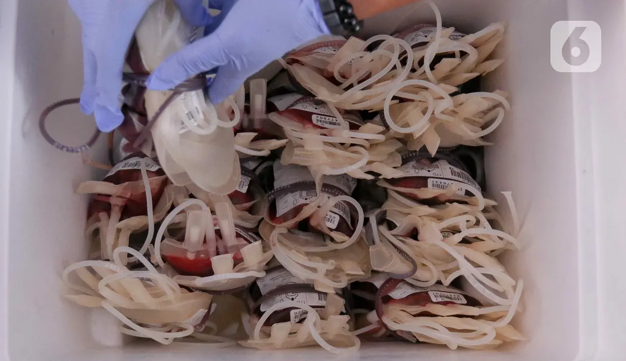 Petugas membawa darah hasil donor dari warga. (Liputan6.com/Herman Zakharia)
