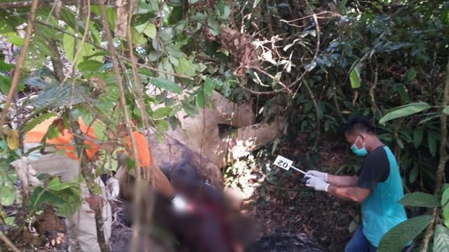 Kematian Mengenaskan Bunta, Gajah Aceh yang Sempat Sambut Leonardo Dicaprio