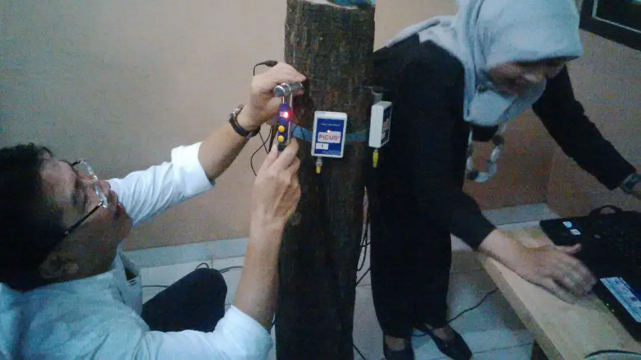 Cegah Pohon Lapuk Tumbang, IPB Kenalkan Alat Ini