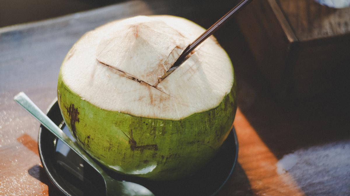 4 Cara Minum Air Kelapa untuk Bantu Menurunkan Berat Badan Setelah Idul Fitri