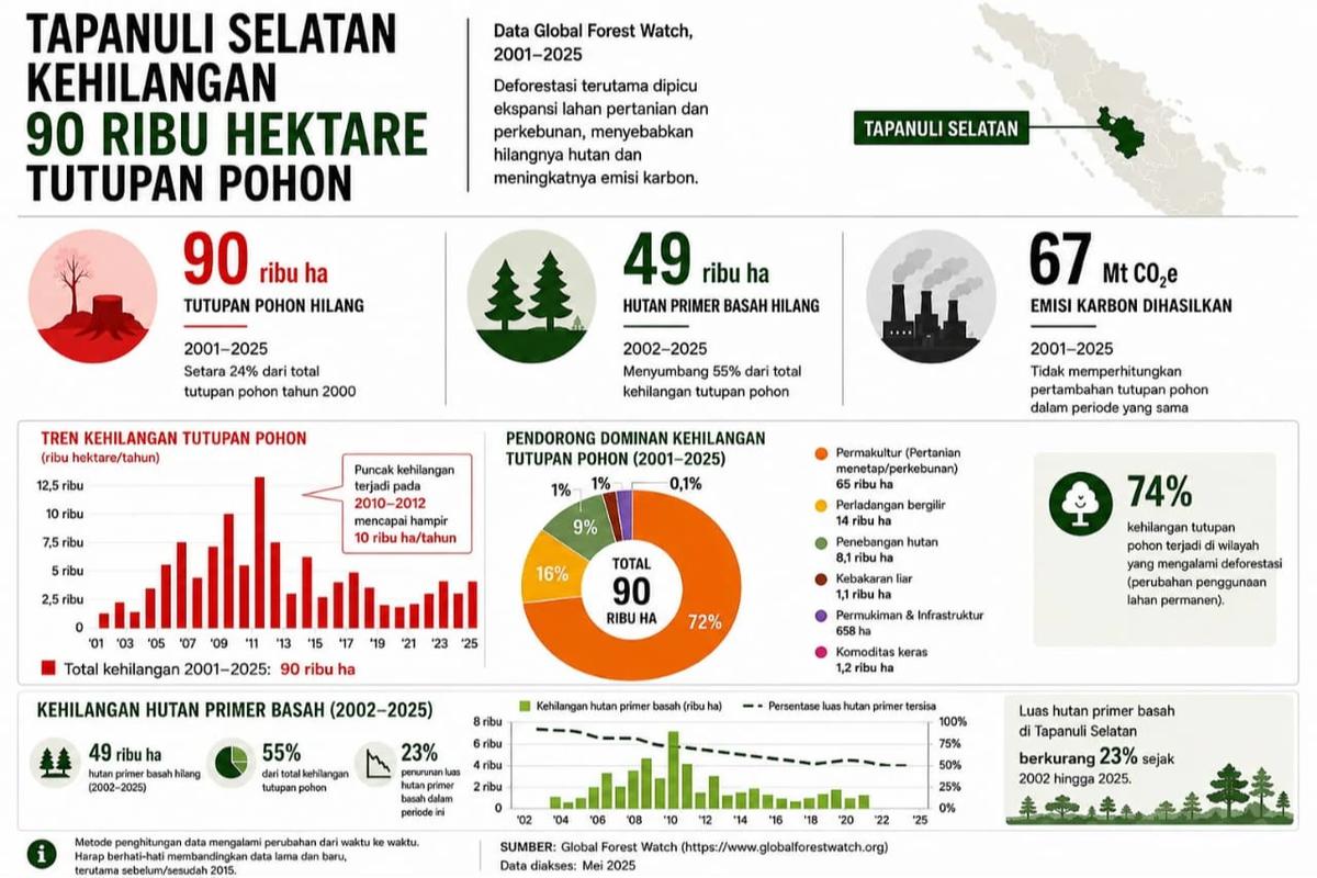 Ketika Hutan Tak Lagi Menahan Air: Menilik Jejak Deforestasi di Balik Cuaca Ekstrem Sumatra Utara