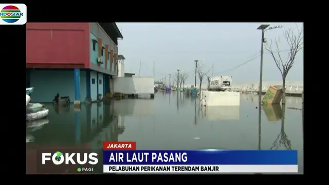 Rob di Penjaringan, Pelabuhan Perikanan Terendam Banjir