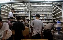 Sejarah Glodok Plaza, Dulu Dikenal Angker dan 'Sumber Kematian