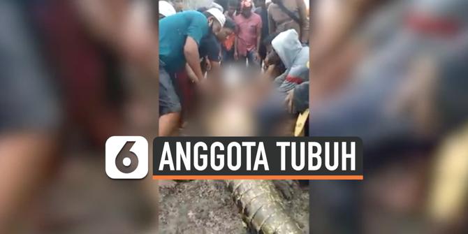 VIDEO: Potongan Tubuh Wanita Ditemukan Dalam Perut Buaya 6 Meter