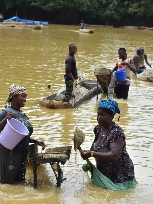 Para penambang emas wanita bekerja di sungai Pampana di dekat Mekeni, sebelah utara Sierra Leone (5/3). Melintasi tanah yang curam, ratusan pria dan wanita di sungai menyaring kerikil, memisahkan bintik-bintik emas dari lumpur. (AFP Photo/Issouf Sanogo)