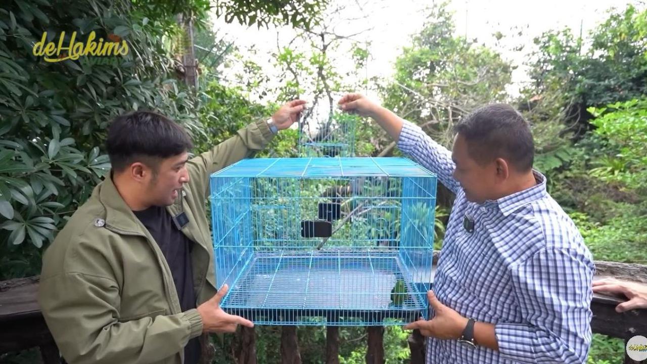 Pelepasan Burung