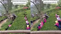 Viral Momen Ceria Geng Ibu-Ibu Foto Bareng di Kebun Teh, Gayanya Kreatif